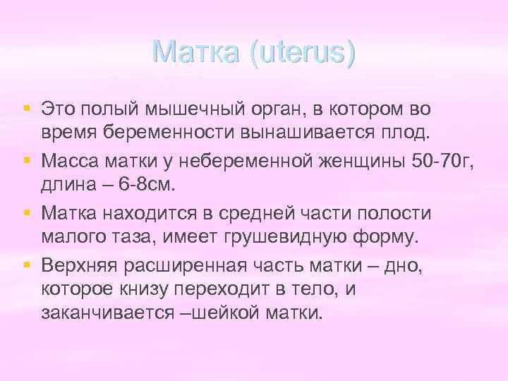 Матка (uterus) § Это полый мышечный орган, в котором во время беременности вынашивается плод.