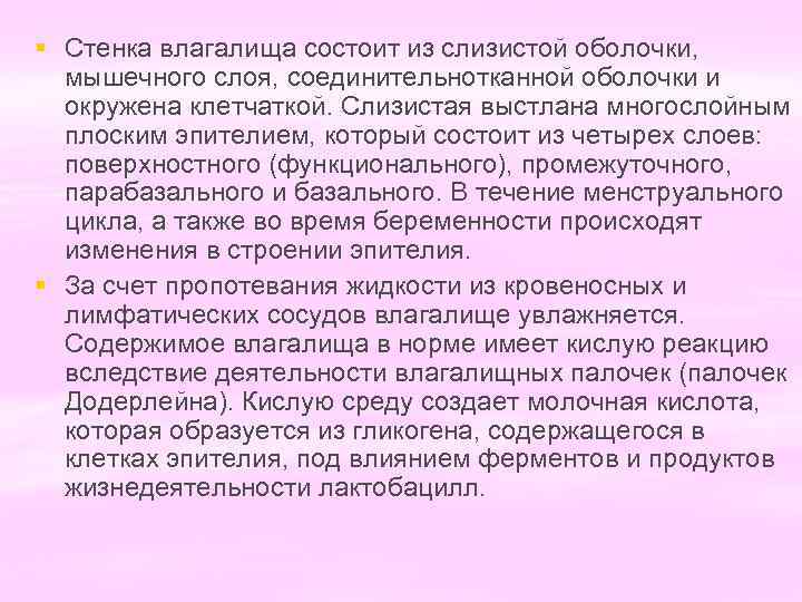 § Стенка влагалища состоит из слизистой оболочки, мышечного слоя, соединительнотканной оболочки и окружена клетчаткой.