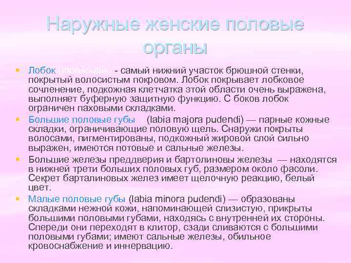 Наружные женские половые органы § Лобок (monspubis) - самый нижний участок брюшной стенки, покрытый