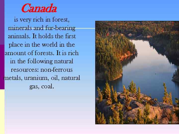 Canada is very rich in forest, minerals and fur-bearing animals. It holds the first