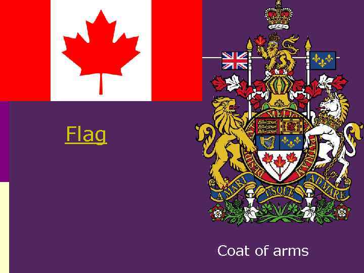 Flag Coat of arms 