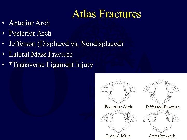  • • • Atlas Fractures Anterior Arch Posterior Arch Jefferson (Displaced vs. Nondisplaced)