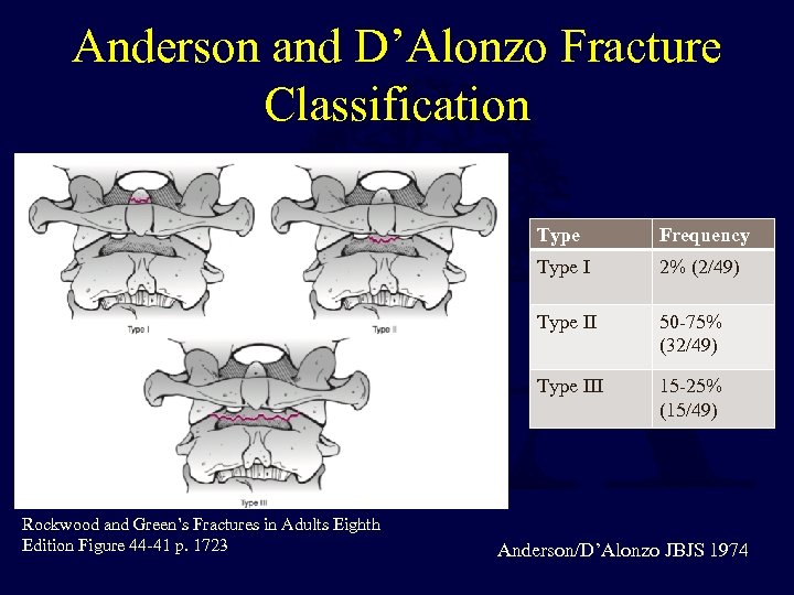 Anderson and D’Alonzo Fracture Classification Type I 2% (2/49) Type II 50 -75% (32/49)