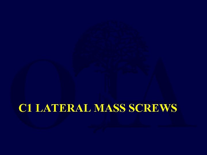 C 1 LATERAL MASS SCREWS 