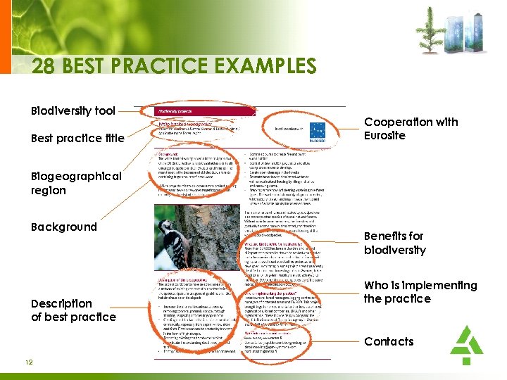 28 BEST PRACTICE EXAMPLES Biodiversity tool Best practice title Cooperation with Eurosite Biogeographical region