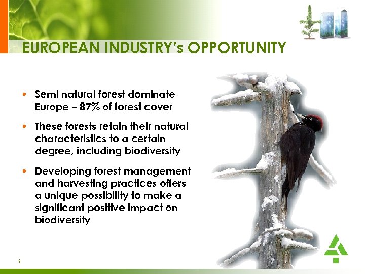 EUROPEAN INDUSTRY’s OPPORTUNITY • Semi natural forest dominate Europe – 87% of forest cover