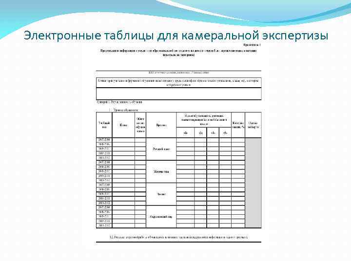 Электронные таблицы для камеральной экспертизы 