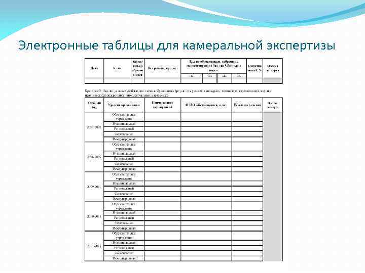 Электронные таблицы для камеральной экспертизы 