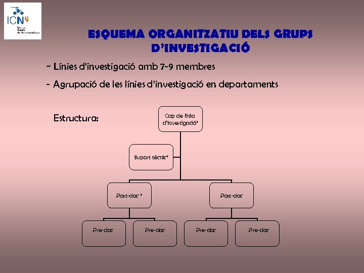 ESQUEMA ORGANITZATIU DELS GRUPS D’INVESTIGACIÓ - Línies d’investigació amb 7 -9 membres - Agrupació