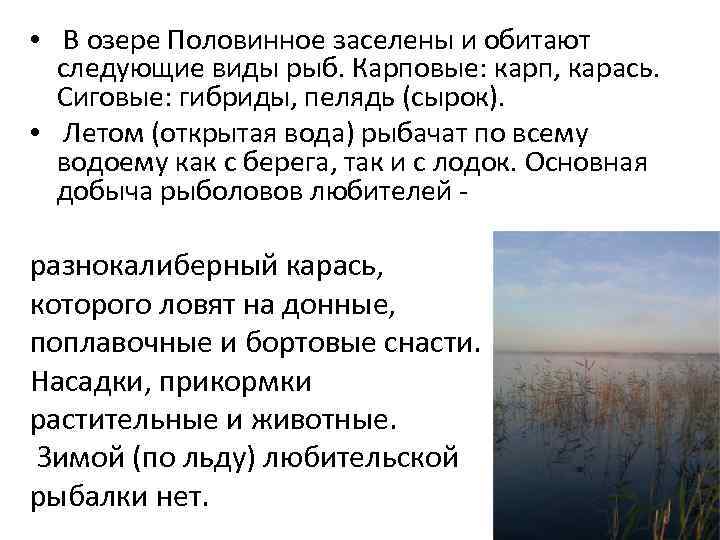 • В озере Половинное заселены и обитают следующие виды рыб. Карповые: карп, карась.