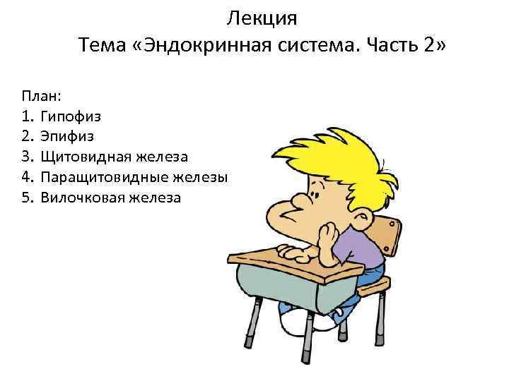 Лекция Тема «Эндокринная система. Часть 2» План: 1. Гипофиз 2. Эпифиз 3. Щитовидная железа