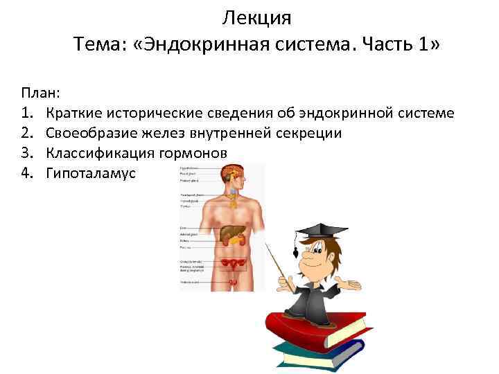 Лекция Тема: «Эндокринная система. Часть 1» План: 1. Краткие исторические сведения об эндокринной системе