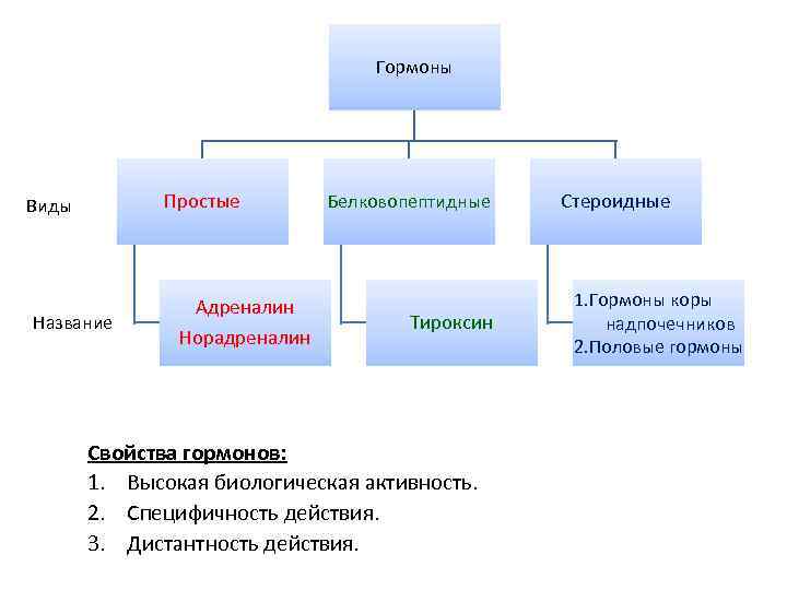 Гормоны Простые Виды Название Адреналин Норадреналин Белковопептидные Тироксин Свойства гормонов: 1. Высокая биологическая активность.