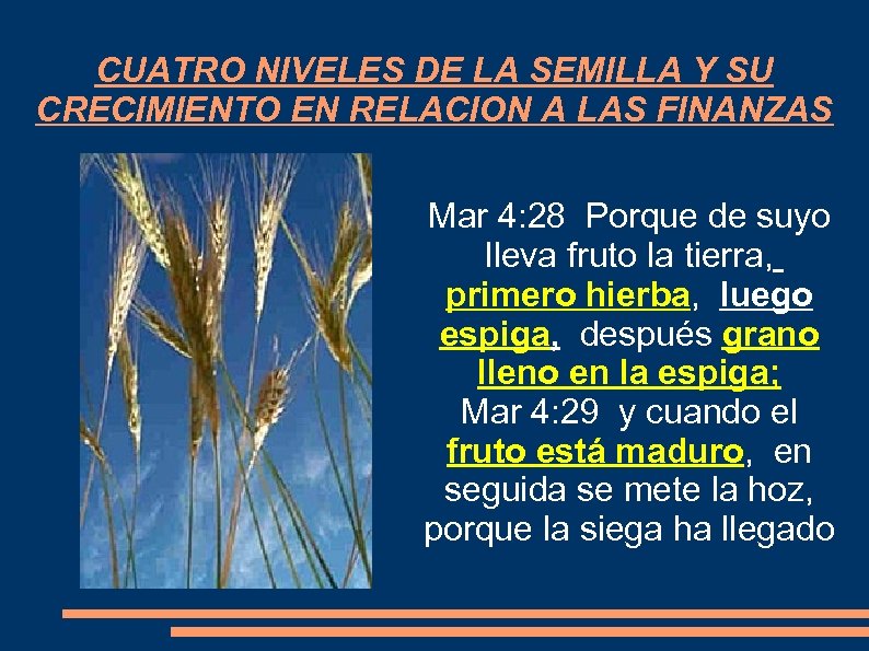 CUATRO NIVELES DE LA SEMILLA Y SU CRECIMIENTO EN RELACION A LAS FINANZAS Mar