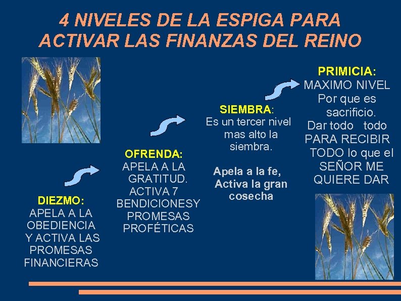 4 NIVELES DE LA ESPIGA PARA ACTIVAR LAS FINANZAS DEL REINO DIEZMO: APELA A