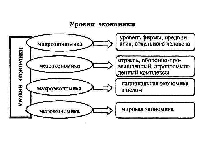 4 уровня экономики. Структура экономики Микроэкономика макроэкономика. Уровни экономики Микроэкономика. Структура экономической теории схема. Структура микроэкономики схема.