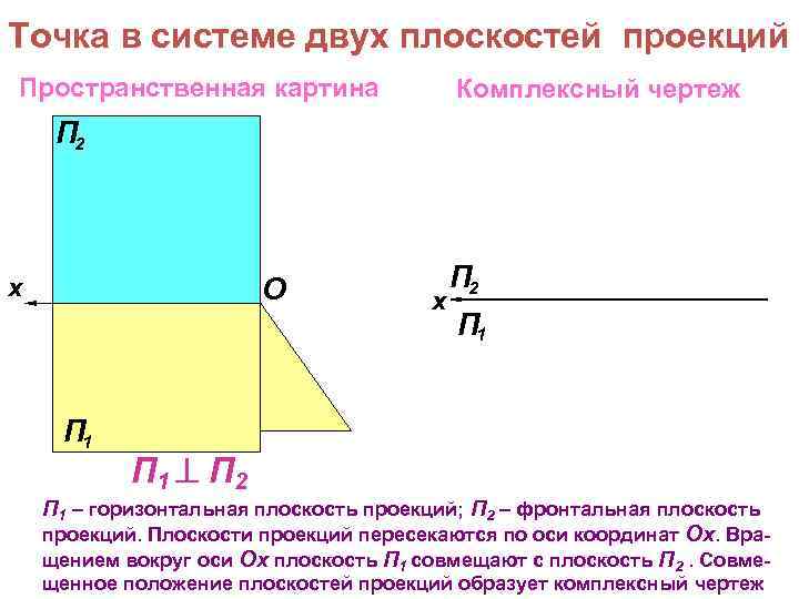 Точка в системе двух плоскостей проекций Пространственная картина Комплексный чертеж П 2 O x