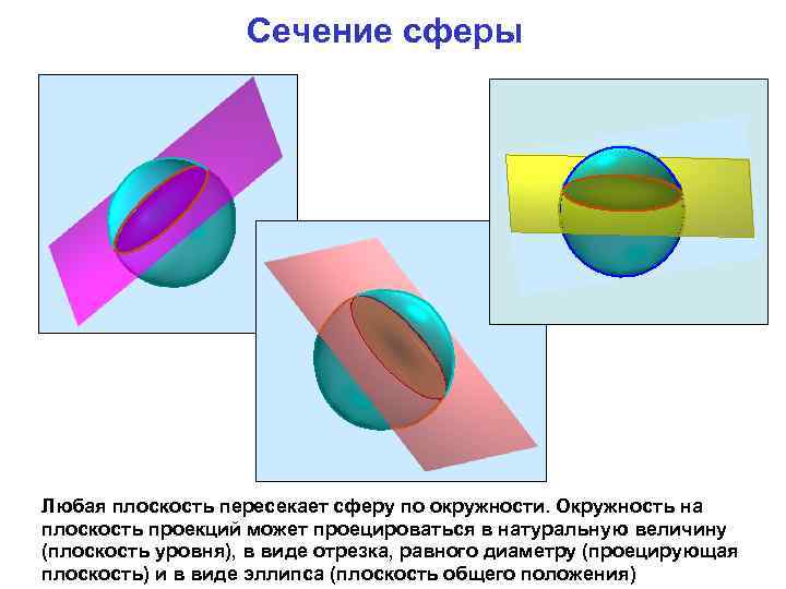 Сечение сферы Любая плоскость пересекает сферу по окружности. Окружность на плоскость проекций может проецироваться