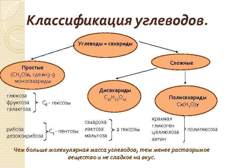 3 типа углеводов