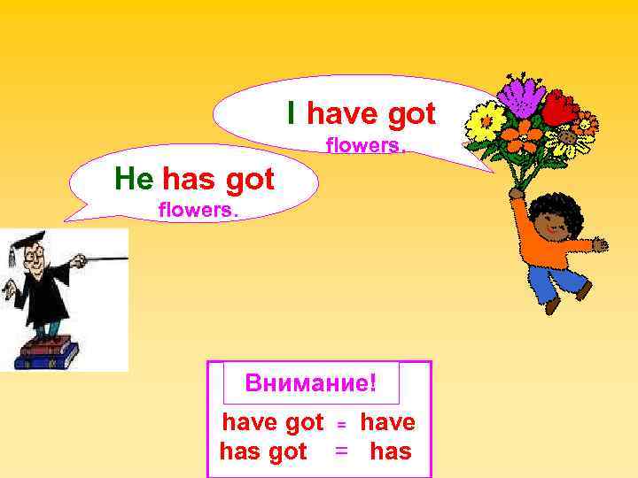 I have got flowers. He has got flowers. Внимание! have got = have has