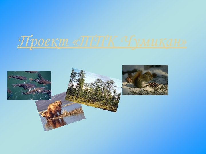 Проект «ТПК Чумикан» 