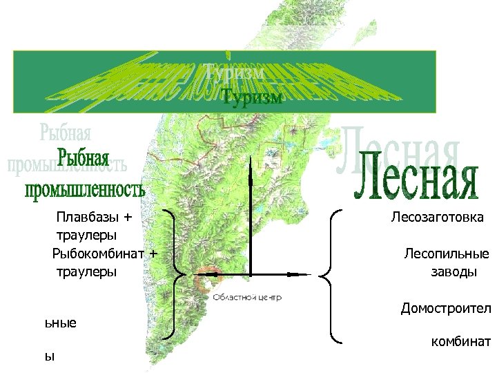 Плавбазы + траулеры Рыбокомбинат + траулеры ьные ы Лесозаготовка Лесопильные заводы Домостроител комбинат 