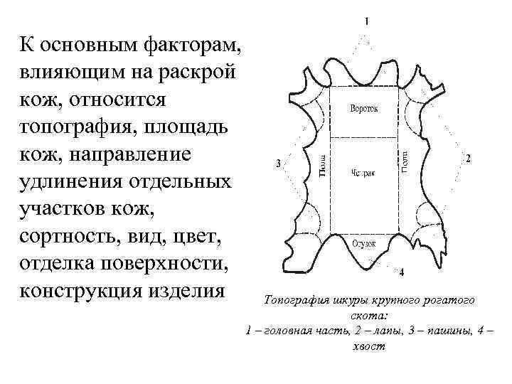 К социальным факторам влияющим на проект можно отнести