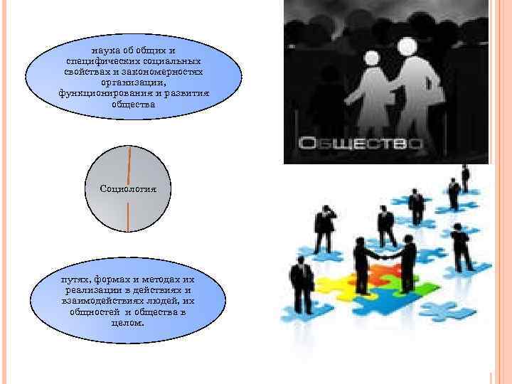 наука об общих и специфических социальных свойствах и закономерностях организации, функционирования и развития общества