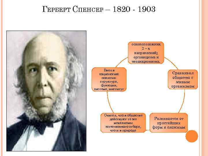 ГЕРБЕРТ СПЕНСЕР – 1820 - 1903 основоположник 2–х направлений: органицизма и эволюционизма. Ввел в