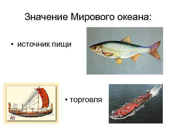 Значение Мирового океана: • источник пищи • торговля 