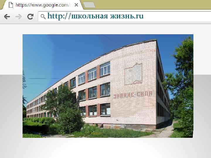 http: //школьная жизнь. ru 