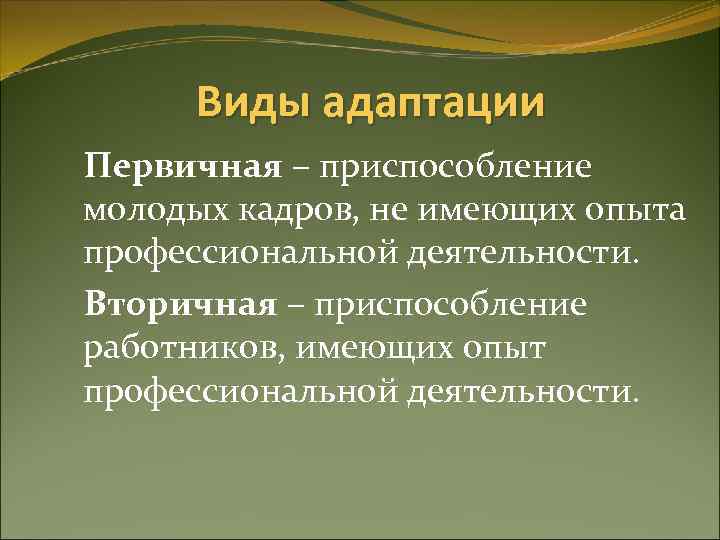 Виды адаптации Первичная – приспособление молодых кадров, не имеющих опыта профессиональной деятельности. Вторичная –