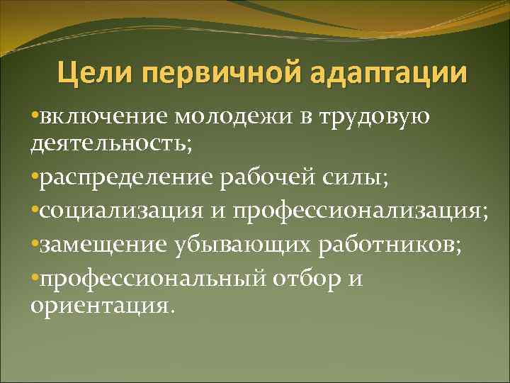 Цели первичной адаптации • включение молодежи в трудовую деятельность; • распределение рабочей силы; •