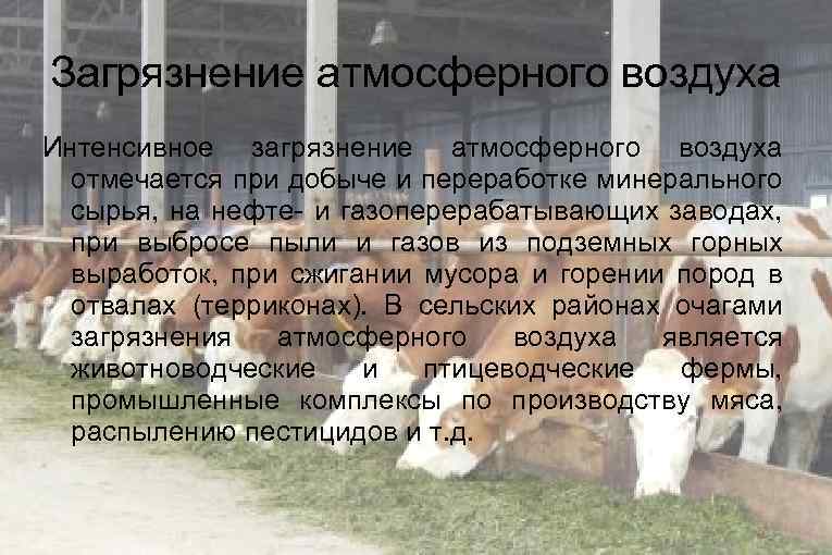 Загрязнение атмосферного воздуха Интенсивное загрязнение атмосферного воздуха отмечается при добыче и переработке минерального сырья,