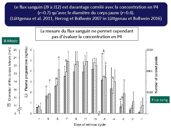 Le flux sanguin (J 9 à J 12) est davantage corrélé avec la concentration