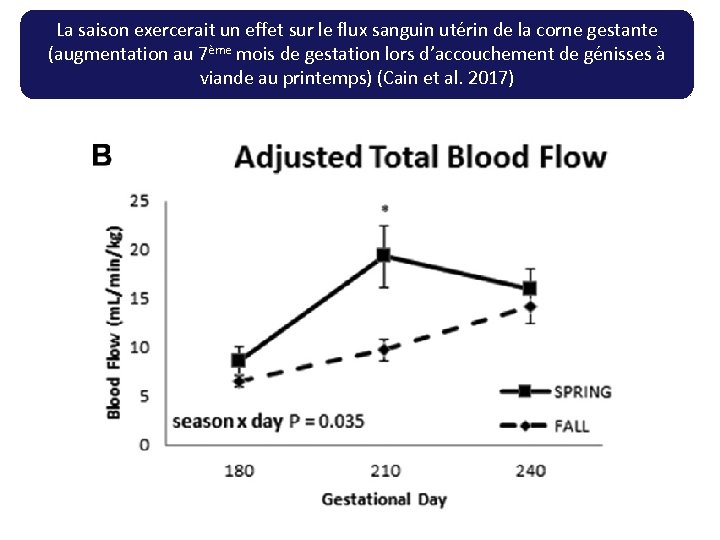 La saison exercerait un effet sur le flux sanguin utérin de la corne gestante
