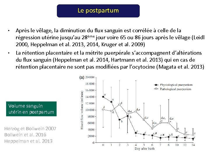 Le postpartum • • Après le vêlage, la diminution du flux sanguin est corrélée
