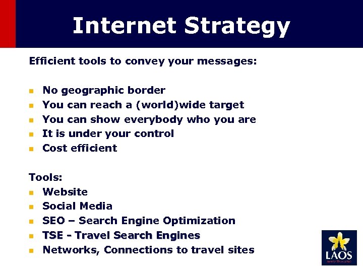 Internet Strategy Efficient tools to convey your messages: n n n No geographic border