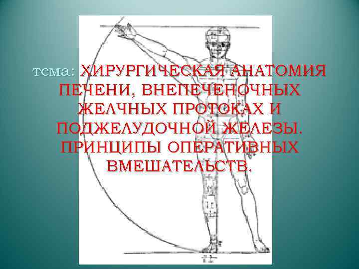 тема: ХИРУРГИЧЕСКАЯ АНАТОМИЯ ПЕЧЕНИ, ВНЕПЕЧЕНОЧНЫХ ЖЕЛЧНЫХ ПРОТОКАХ И ПОДЖЕЛУДОЧНОЙ ЖЕЛЕЗЫ. ПРИНЦИПЫ ОПЕРАТИВНЫХ ВМЕШАТЕЛЬСТВ. 