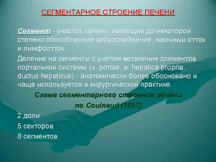 СЕГМЕНТАРНОЕ СТРОЕНИЕ ПЕЧЕНИ Сегмент - участок печени, имеющий до некоторой степени обособленное кровоснабжение, желчный