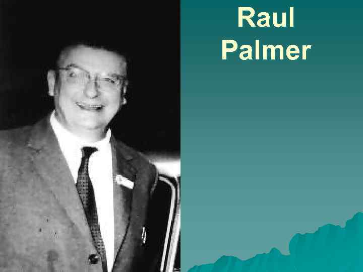 Raul Palmer 