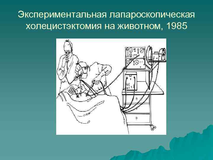 Экспериментальная лапароскопическая холецистэктомия на животном, 1985 