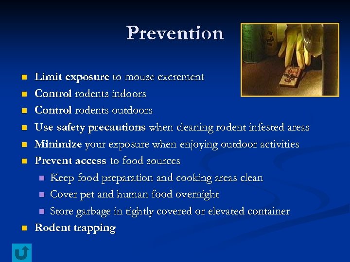 Prevention n n n Limit exposure to mouse excrement Control rodents indoors Control rodents