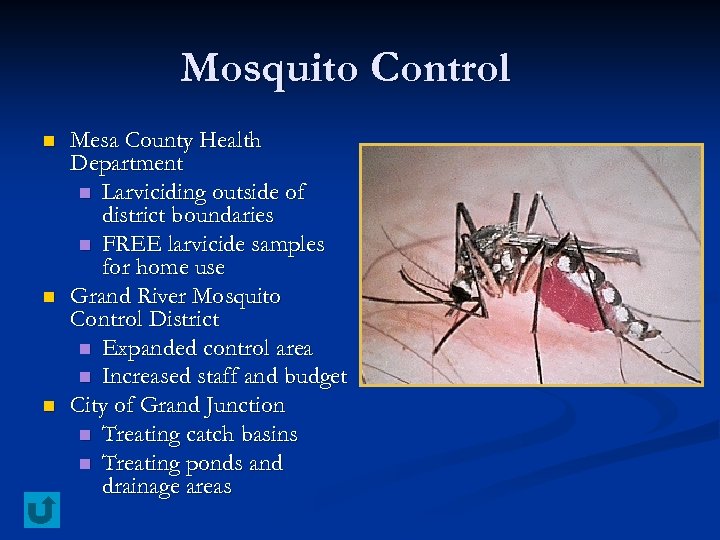 Mosquito Control n n n Mesa County Health Department n Larviciding outside of district