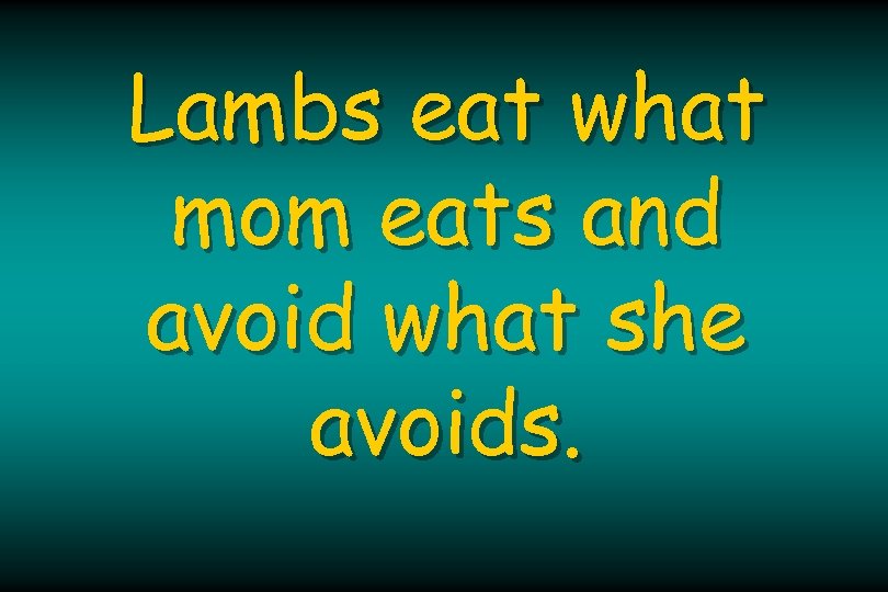 Lambs eat what mom eats and avoid what she avoids. 