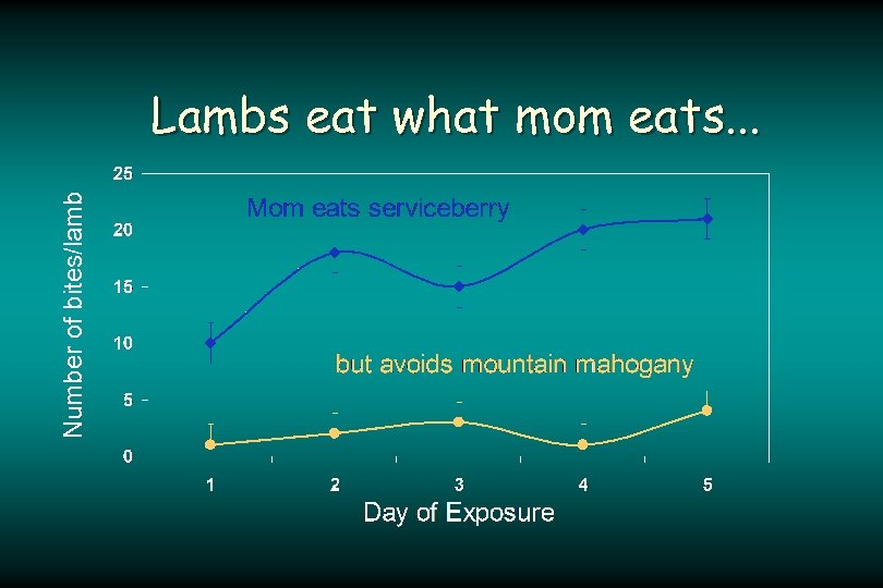Number of bites/lamb Lambs eat what mom eats. . . 