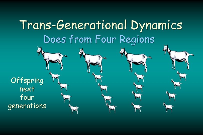 Trans-Generational Dynamics Does from Four Regions Offspring next four generations 