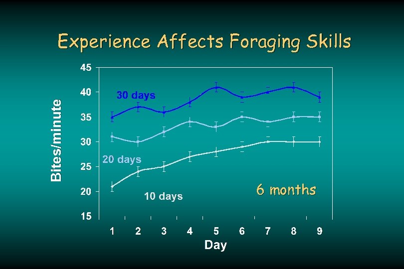 Bites/minute Experience Affects Foraging Skills 6 months 