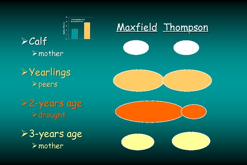 Ø Calf Ø mother Ø Yearlings Ø peers Ø 2 -years age Ø drought
