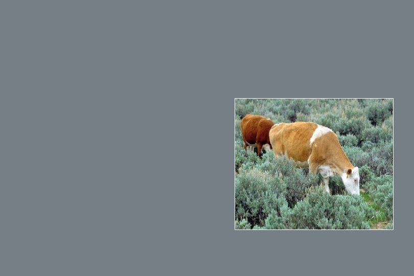 Experience affects Physiology 